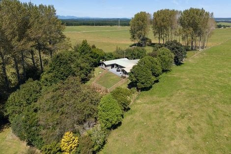 Photo of property in 202 Ngamotu Road, Rerewhakaaitu, Rotorua, 3073