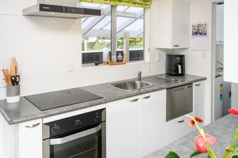 Photo of property in 38 Newton Place, Westbrook, Palmerston North, 4412