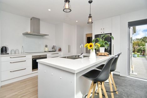 Photo of property in 17 Johnson Street, Kaiapoi, 7630