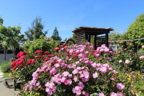 Photo of property in 35 Rhodes Street, Waimate, 7924