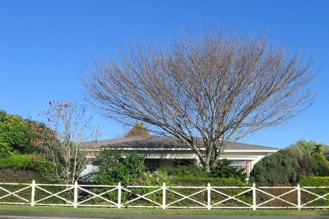 Photo of property in 708 Duke Street, Mahora, Hastings, 4120