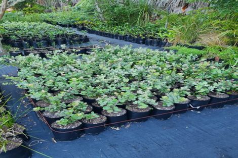 Photo of property in 656 One Tree Point Road, Ruakaka, Whangarei, 0171