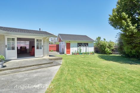 Photo of property in 41 Humphries Place, Awapuni, Palmerston North, 4412