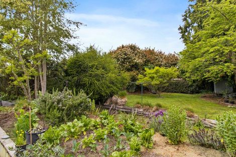 Photo of property in 7a Shere Street, Pleasant Point, 7903