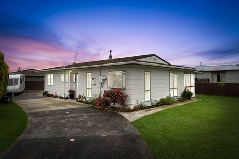 Photo of property in 3 Rimu Street, Levin, 5510