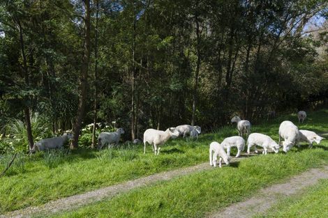 Photo of property in 1646 Waimata Valley Road, Waimata, 4073