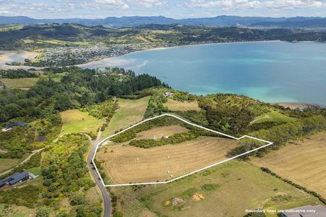 Photo of property in 404 Lees Road, Hahei, Whitianga, 3591