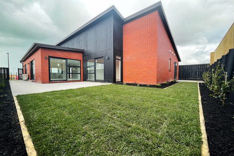 Photo of property in 55 Earp Crescent, Chartwell, Hamilton, 3210