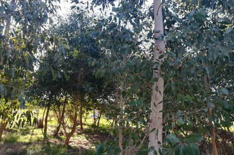 Photo of property in 437 Okirae Road, Mangamahu, Wanganui, 4577