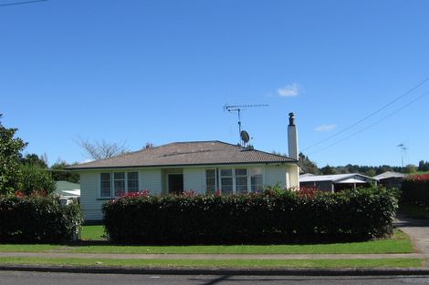 Photo of property in 31 Grey Street, Putaruru, 3411