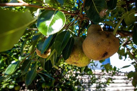 Photo of property in 8 Gundry Street, Rawene, Kaikohe, 0473