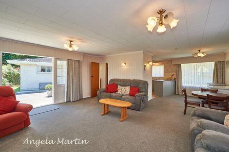 Photo of property in 41 Humphries Place, Awapuni, Palmerston North, 4412