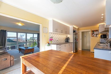 Photo of property in 16 Dalzien Place, Feilding, 4702