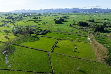 Photo of property in 6540 State Highway 2, Netherton, Paeroa, 3671