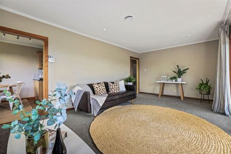 Photo of property in 133 Lyttelton Street, Spreydon, Christchurch, 8024