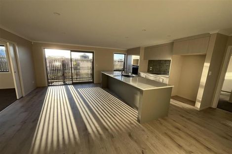 Photo of property in 25 Cogar Terrace, Chartwell, 3210