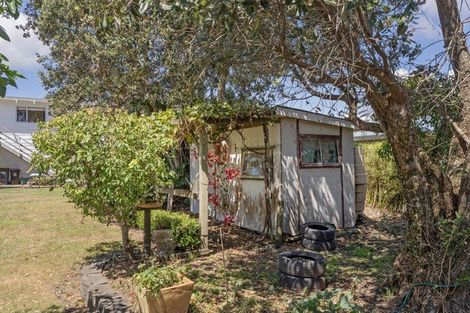 Photo of property in 54 Oyster Drive, Cooks Beach, Whitianga, 3591