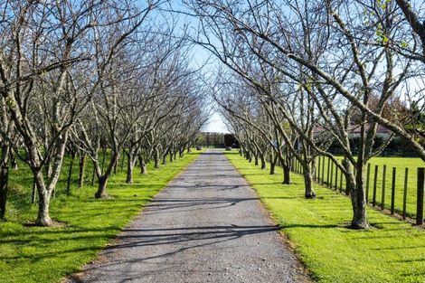 Photo of property in 246 Tuki Tuki Road, Haumoana, Hastings, 4180