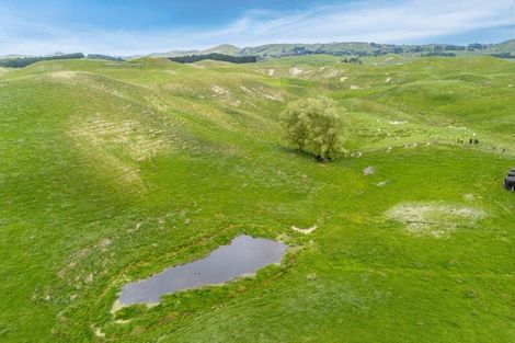 Photo of property in 209 Pattison Road, Akina, Hastings, 4122