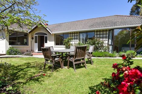 Photo of property in 38 Littlebourne Road, Roslyn, Dunedin, 9010