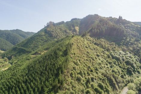 Photo of property in 641 Aniseed Valley Road, Aniseed Valley, Richmond, 7081