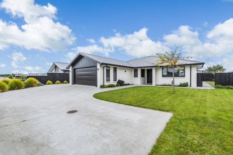Photo of property in 31 Hampton Terrace, Matamata, 3400