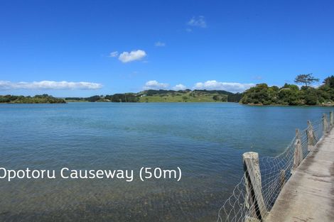 Photo of property in 31 Opotoru Road, Raglan, 3225