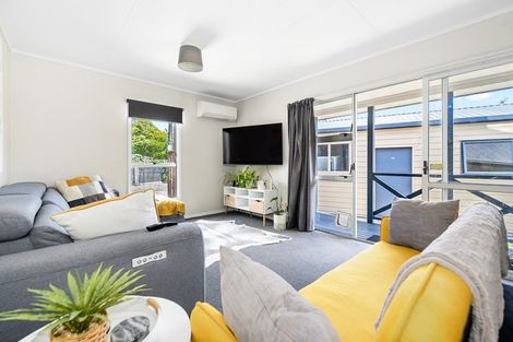 Photo of property in 52 Ascot Road, Chartwell, Hamilton, 3210