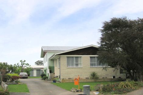 Photo of property in 17 Bryce Street, Mangapapa, Gisborne, 4010
