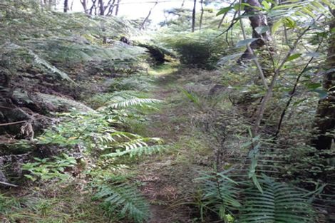 Photo of property in 323c Waikawau Beach Road, Waikawau, Coromandel, 3584