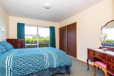 Photo of property in 24 Forest Road, Geraldine, 7930