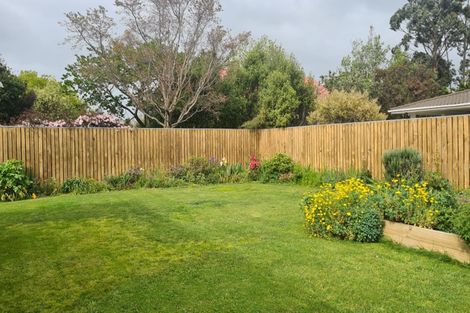 Photo of property in 131a Solway Crescent, Solway, Masterton, 5810
