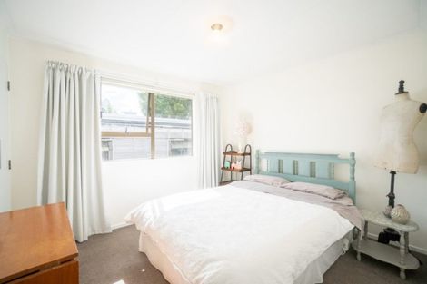 Photo of property in 41a Manawatu Street, Hokowhitu, Palmerston North, 4410