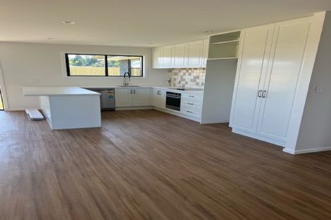 Photo of property in 99 Barkers Road, Methven, 7730