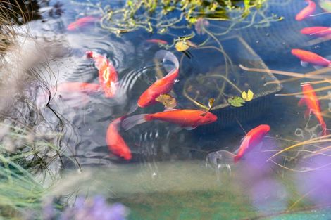 Photo of property in 54 Raleigh Street, Leamington, Cambridge, 3432