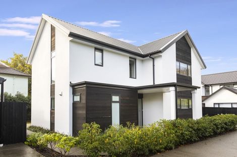 Photo of property in 2/27 Bristol Street, St Albans, Christchurch, 8014