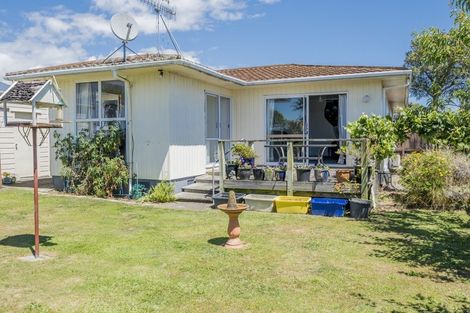 Photo of property in 58 Strathmore Avenue, Levin, 5510