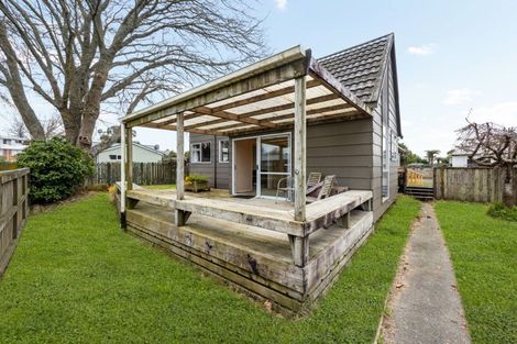 Photo of property in 19 Morrow Avenue, St Andrews, Hamilton, 3200