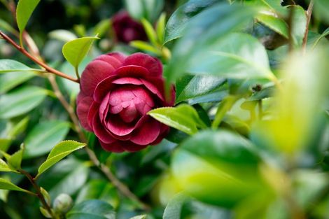 Photo of property in 101 Huia Street, Waikanae, 5391