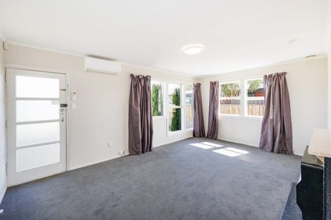 Photo of property in 102 Limbrick Street, Terrace End, Palmerston North, 4410
