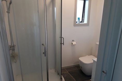 Photo of property in 196 Hastings Street East, Waltham, Christchurch, 8023