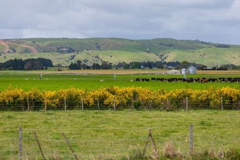 Photo of property in 191 East Street, Greytown, 5712