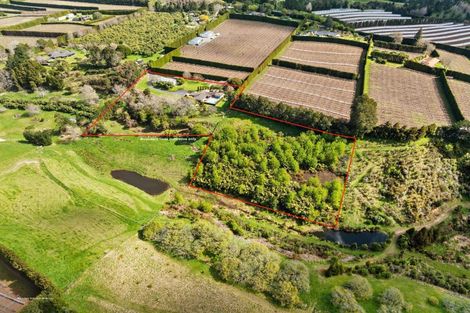 Photo of property in 186 Keenan Road, Pyes Pa, Tauranga, 3173