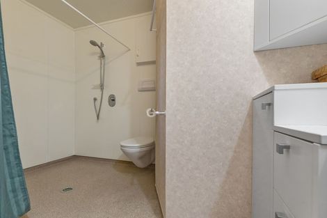 Photo of property in 16 Taringa Avenue, Kuratau, Turangi, 3381