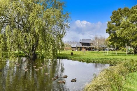 Photo of property in 93 Postman Road, Dairy Flat, Albany, 0794