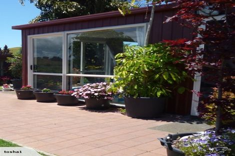 Photo of property in 484 Paparore Road, Paparore, Awanui, 0486