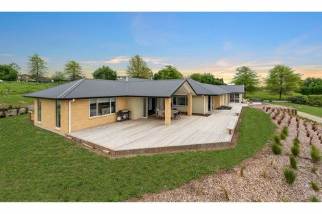 Photo of property in 920a Bond Road, Te Awamutu, 3879