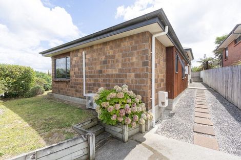 Photo of property in 2 Thomson Avenue, Dinsdale, Hamilton, 3204