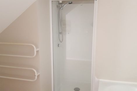 Photo of property in 113 Wallace Street, Mount Cook, Wellington, 6021