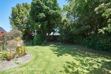 Photo of property in 41 Humphries Place, Awapuni, Palmerston North, 4412